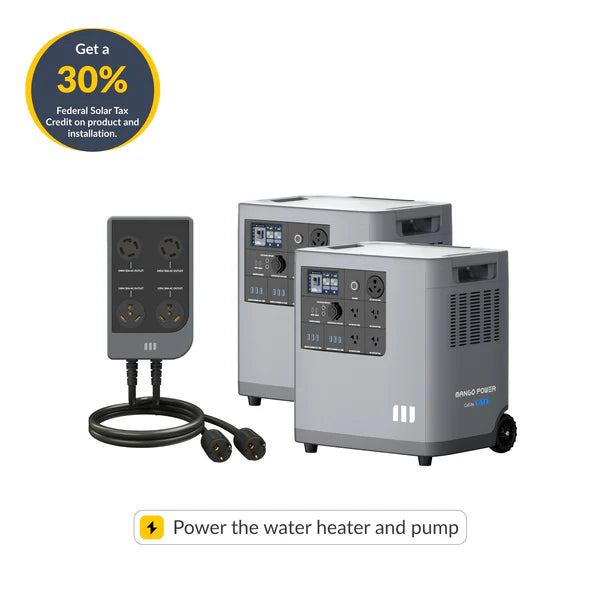 Mango Power 2× Bundle