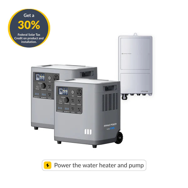Manpo Power 2× E + mPanel Pro Bundle