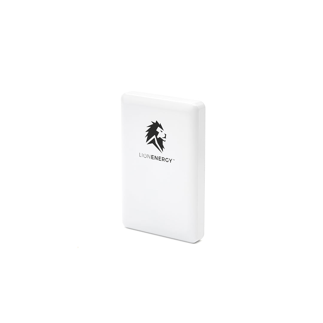Lion Claw magnetic power bank front