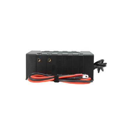 Lion Energy Savanna BC 45